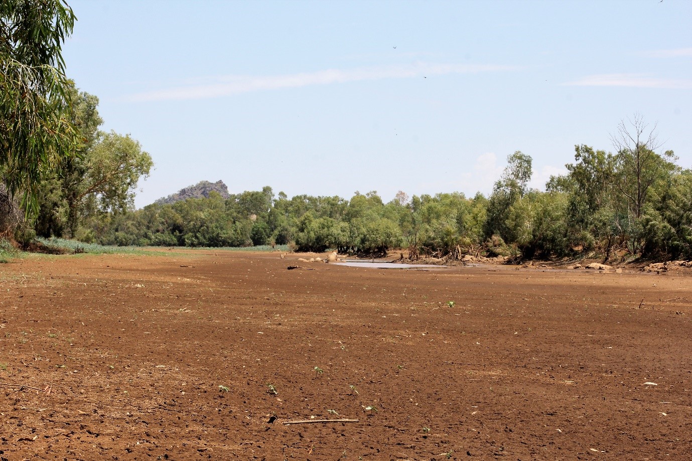 Cloncurry River