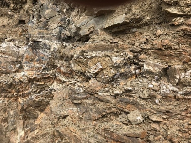 River Catcher Vein