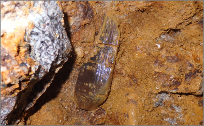 Topaz 1
